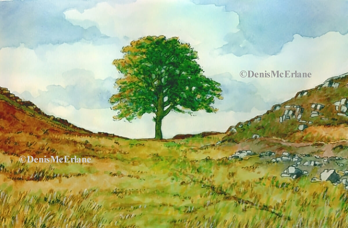 D.McErlane3