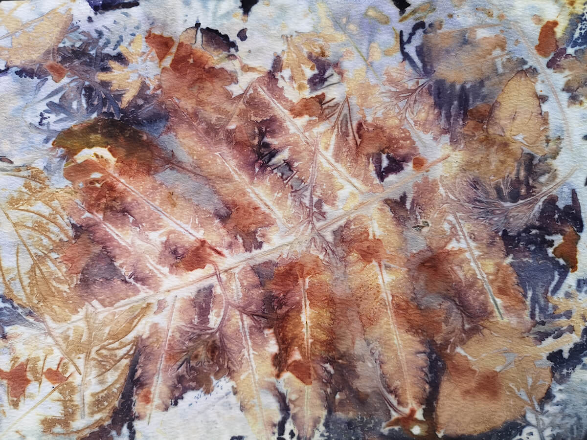 Eve_Dixon_Scott_LeafAndThread7